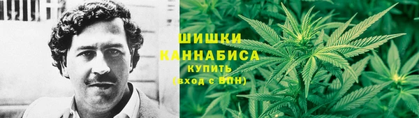 амф Балахна