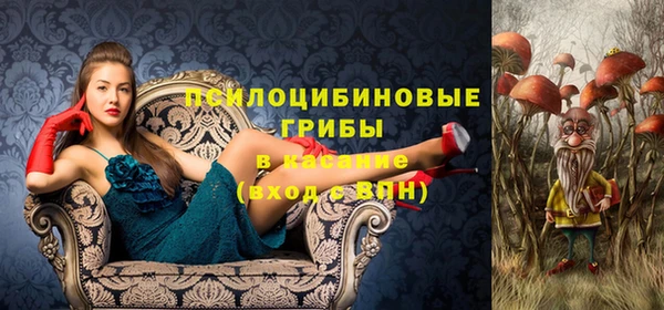 экстази Бородино
