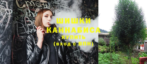 амф Белоозёрский