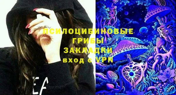 метадон Богданович