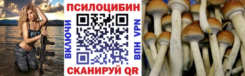 закладка  Барабинск  Псилоцибиновые грибы MAGIC MUSHROOMS 